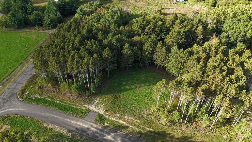 Photo of 3181 317th Court NW, Cambridge, MN 55008 (MLS # 7063852)