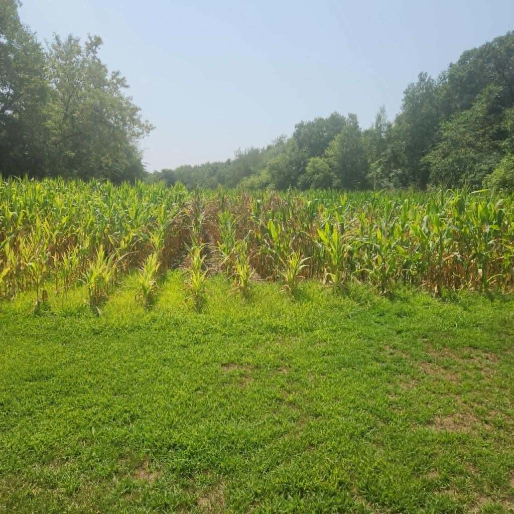 Photo of xxx 220th Ave Lot 3, New Richmond, WI 54017 (MLS # 7120905)