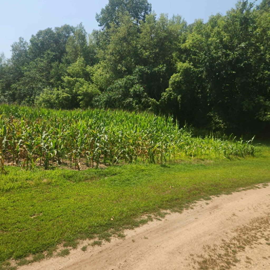 Photo of xxx 220th Ave Lot 3, New Richmond, WI 54017 (MLS # 7120905)