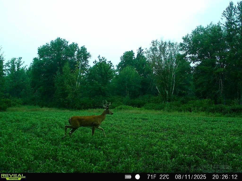 7235 120th Street SW