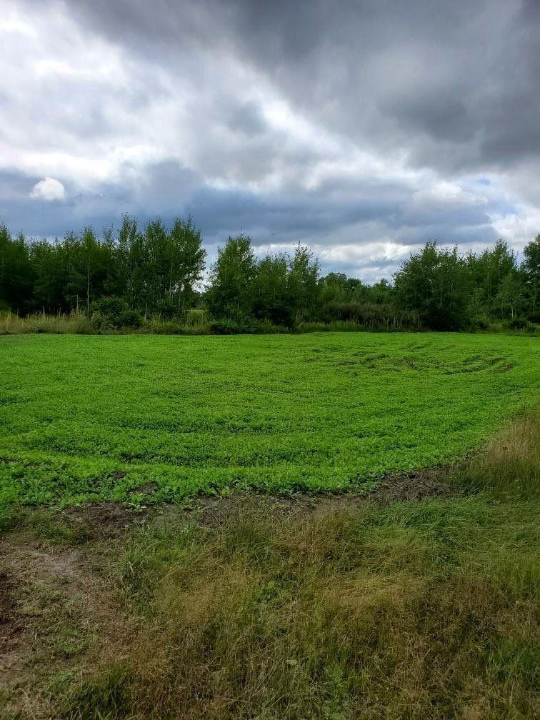 7235 120th Street SW