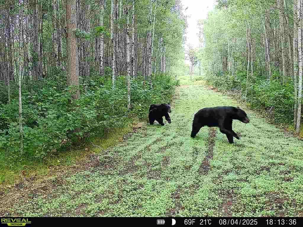 7235 120th Street SW