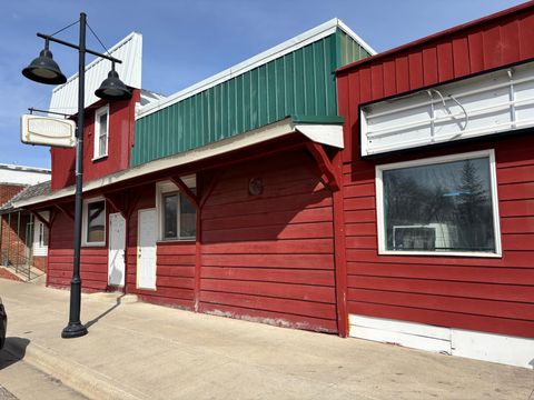 Photo of 249 S Milky Way Street, Cosmos, MN 56228 (MLS # 7045801)