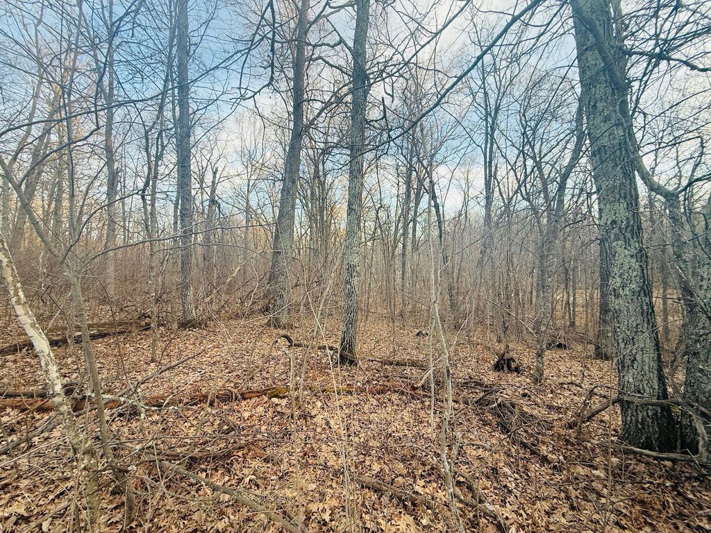 Photo of TBD Ringneck Roost, Garrison, MN 56450 (MLS # 7060445)