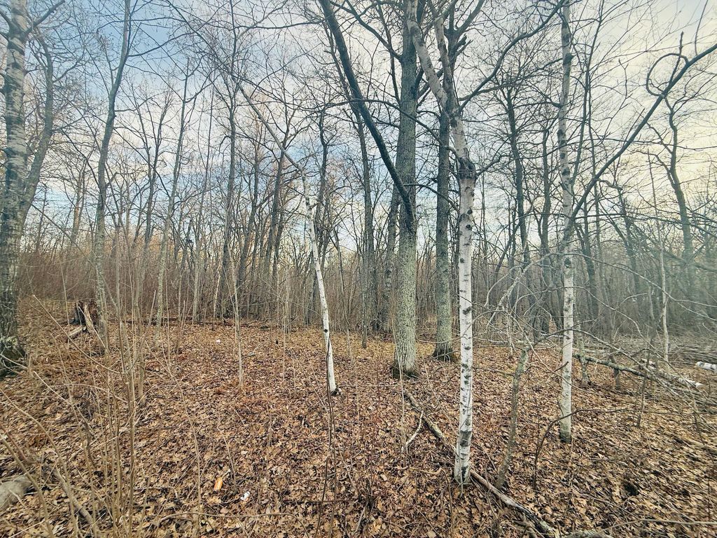 Photo of TBD Ringneck Roost, Garrison, MN 56450 (MLS # 7060445)