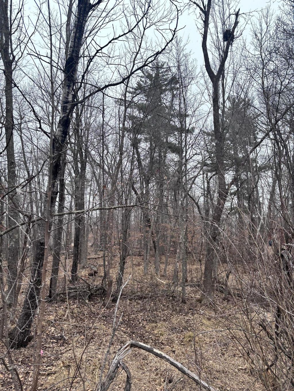 Photo of 79xx Golf Estates Drive, Pequot Lakes, MN 56472 (MLS # 7052253)