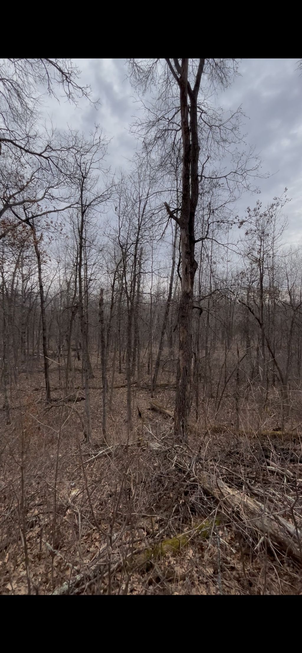 Photo of TBD Big Pine Trail, Crosslake, MN 56442 (MLS # 7044961)