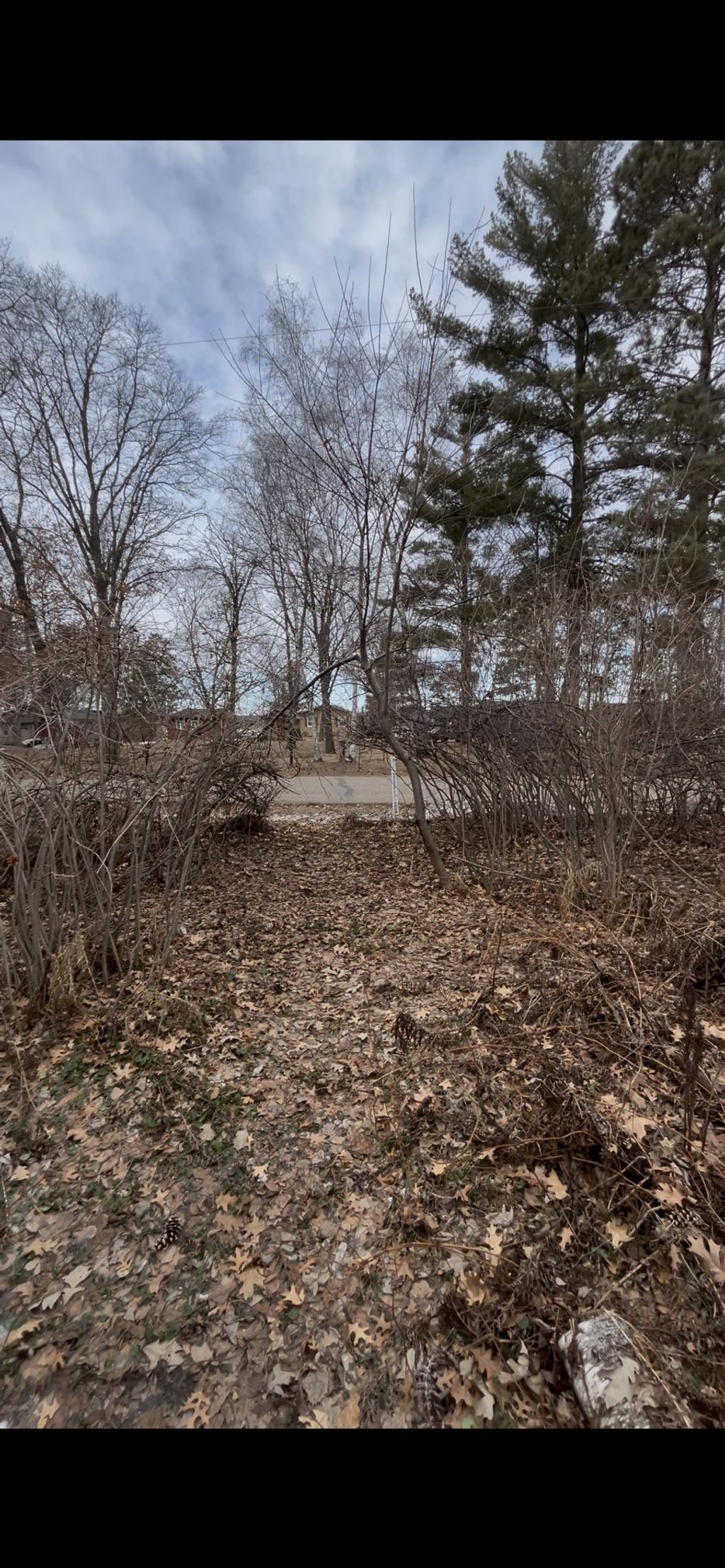 Photo of TBD Big Pine Trail, Crosslake, MN 56442 (MLS # 7044961)