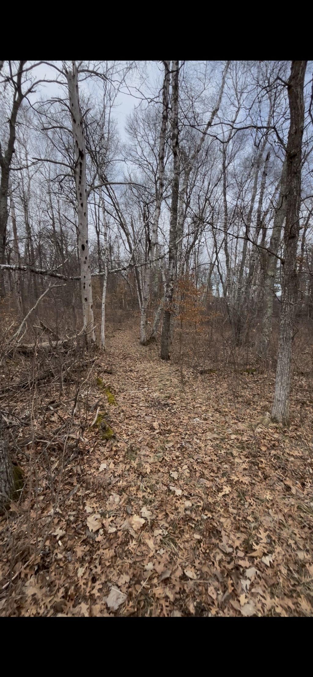 Photo of TBD Big Pine Trail, Crosslake, MN 56442 (MLS # 7044961)