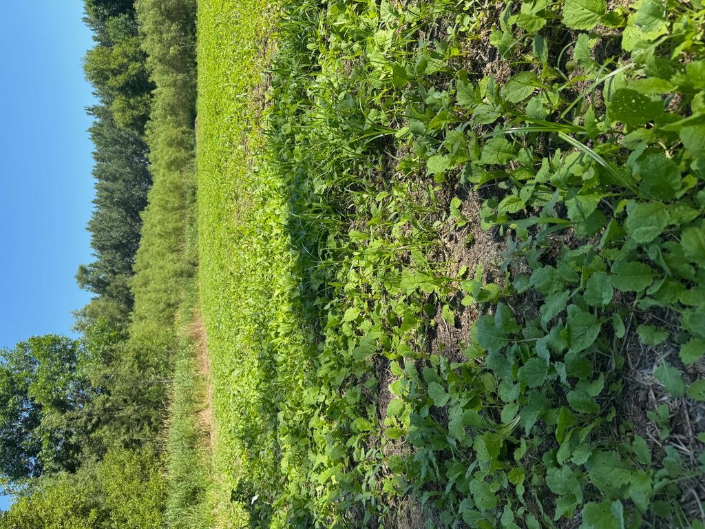 Photo of TBD US HWY 169, Le Sueur, MN 56058 (MLS # 7116435)