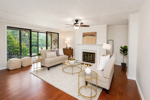 1101 SIBLEY MEMORIAL HWY APT 602, SAINT PAUL, MN 55118 - Image d6f2d56c8809cda187ddc861869cf06b/3089286560