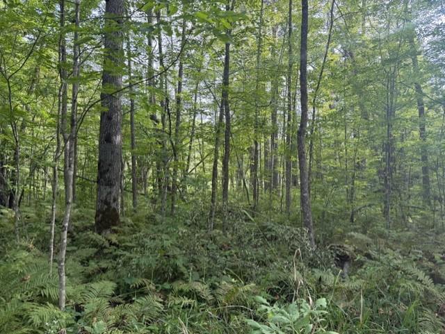 Photo of TBD Great River Road, Palisade, MN 56469 (MLS # 7137863)