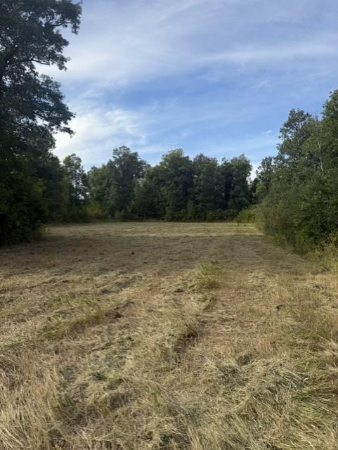 Photo of TBD Great River Road, Palisade, MN 56469 (MLS # 7137863)
