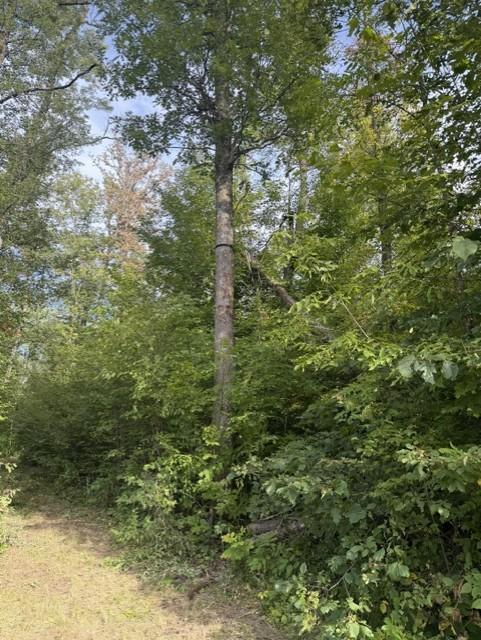 Photo of TBD Great River Road, Palisade, MN 56469 (MLS # 7137863)