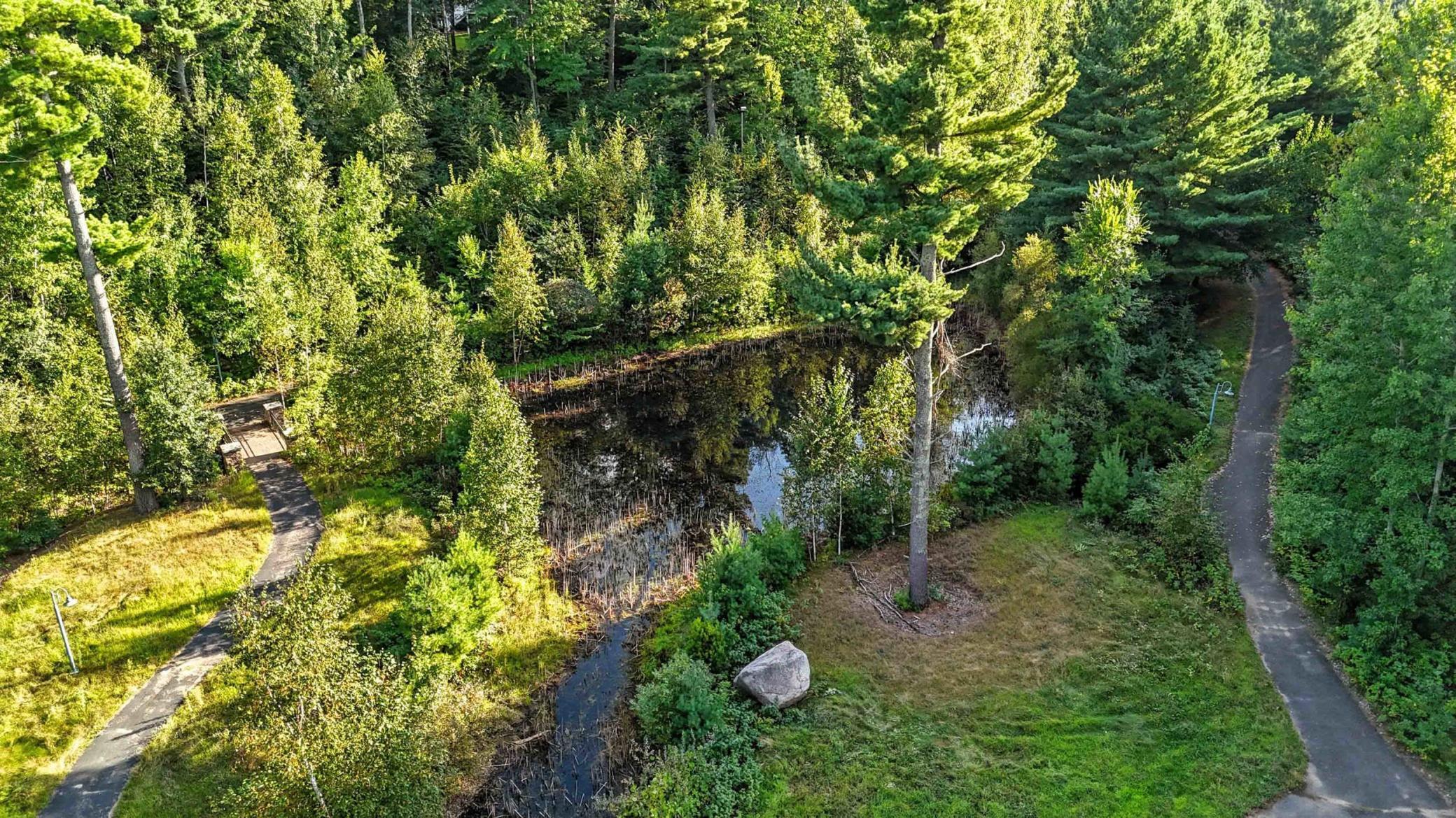 15887 Old Stonebridge Trail