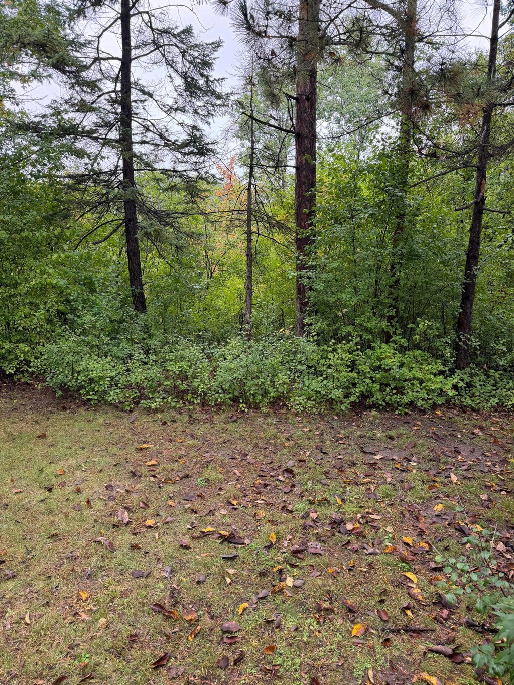 Photo of 8245 W Bush Lake Road, Bloomington, MN 55438 (MLS # 7155495)