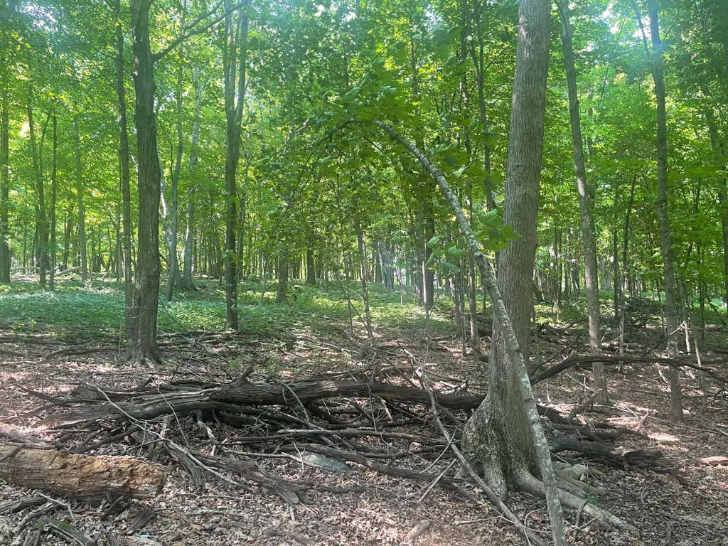 Photo of TBD 190th Street, Centuria, WI 54824 (MLS # 7124668)