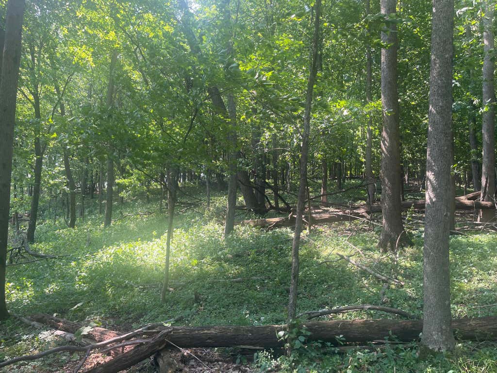 Photo of TBD 190th Street, Centuria, WI 54824 (MLS # 7124668)