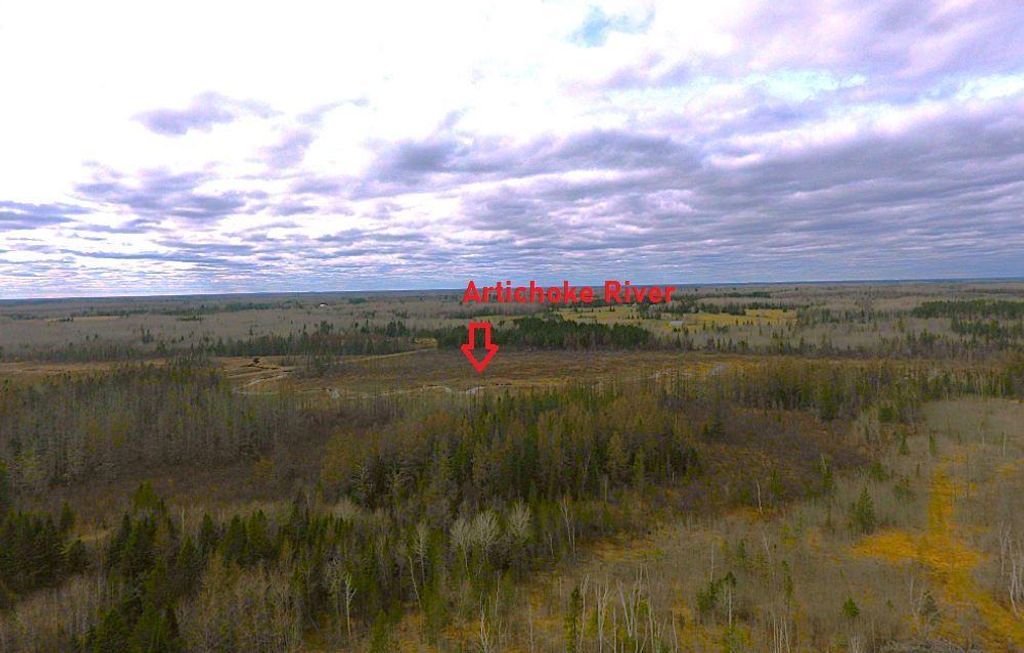 Photo of TBD40 Township Road 5743 Road, Alborn, MN 55702 (MLS # 7067070)