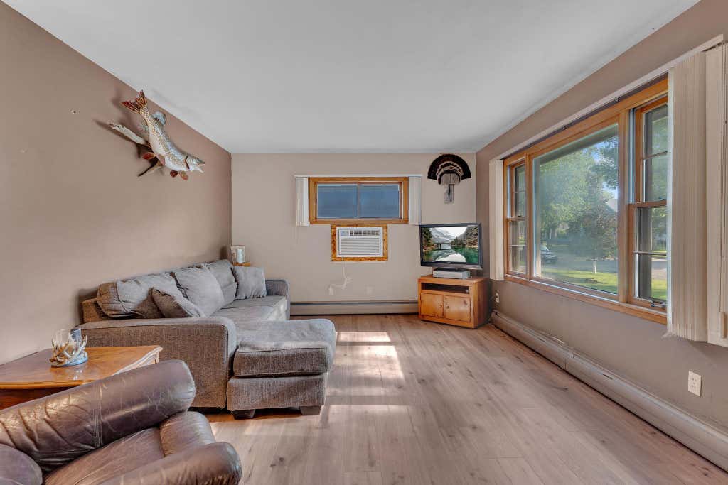 Photo of 203 4th Street, Danube, MN 56230 (MLS # 7121440)