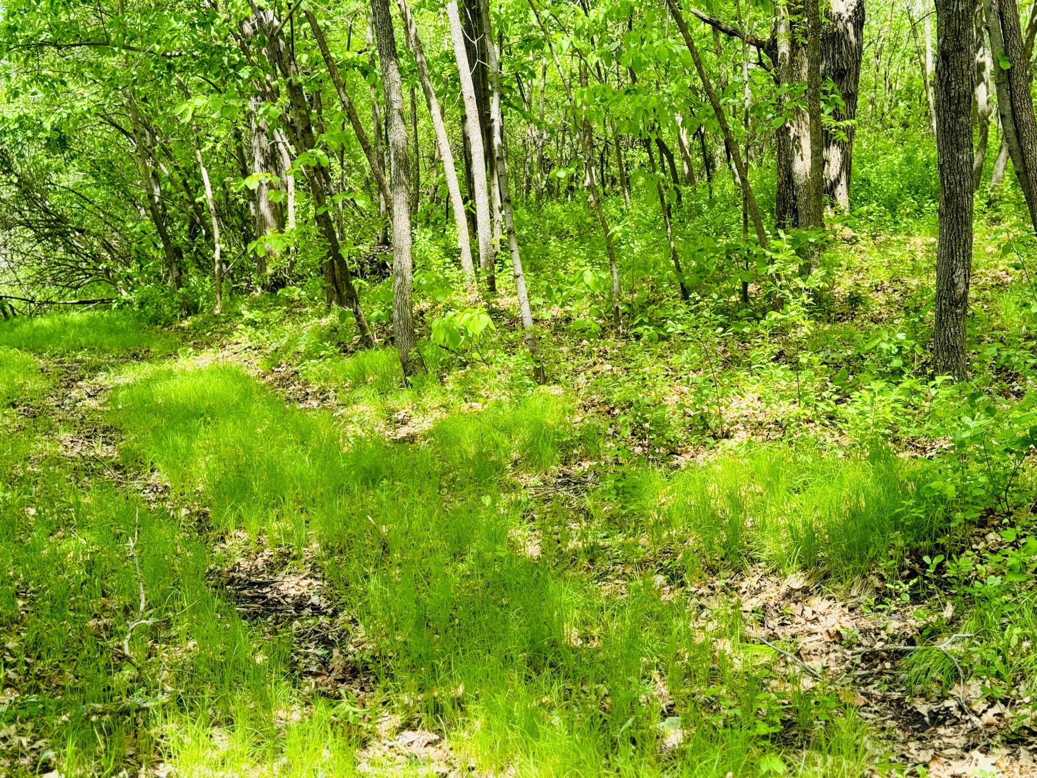 Lot 4 Canterbury Sands Trail