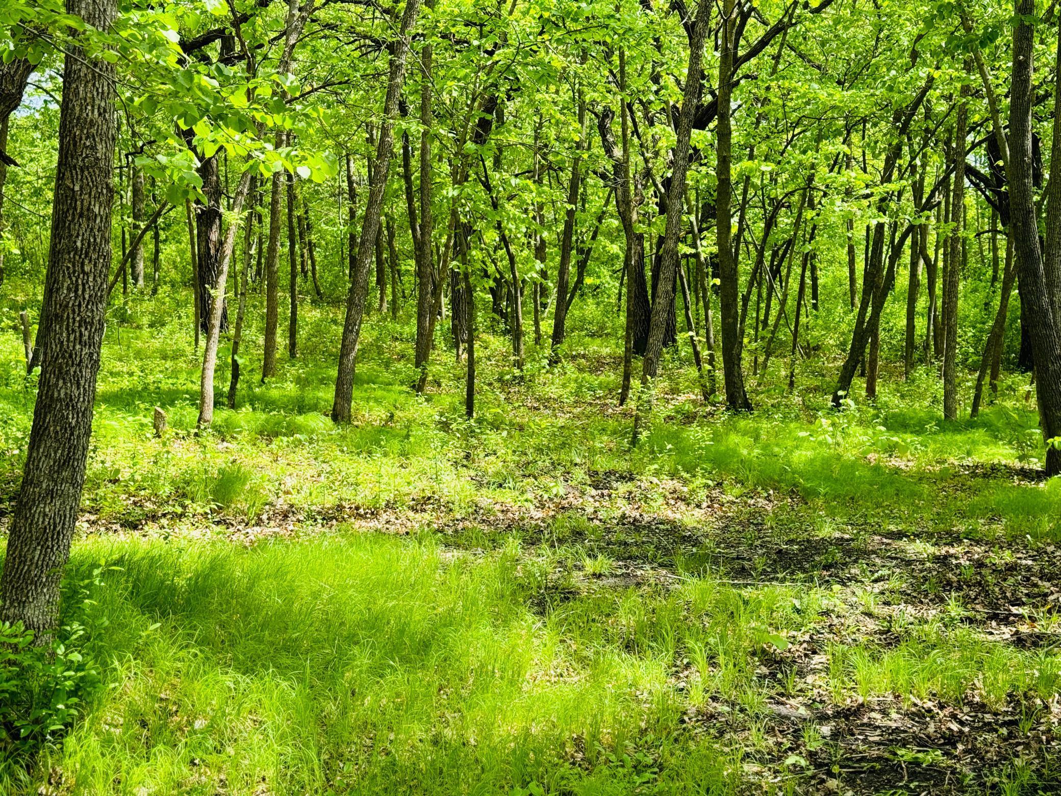 Lot 4 Canterbury Sands Trail