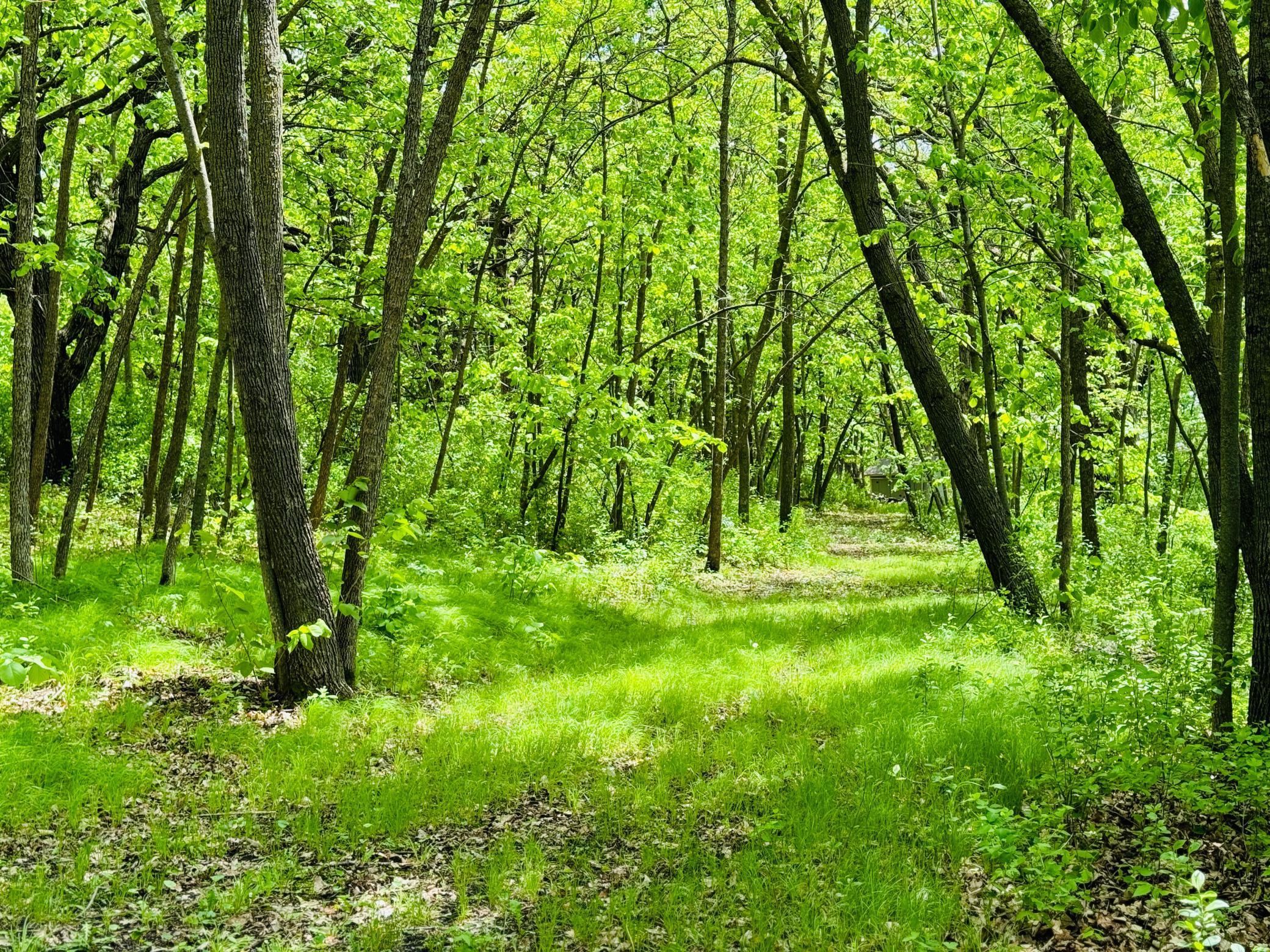 Lot 4 Canterbury Sands Trail