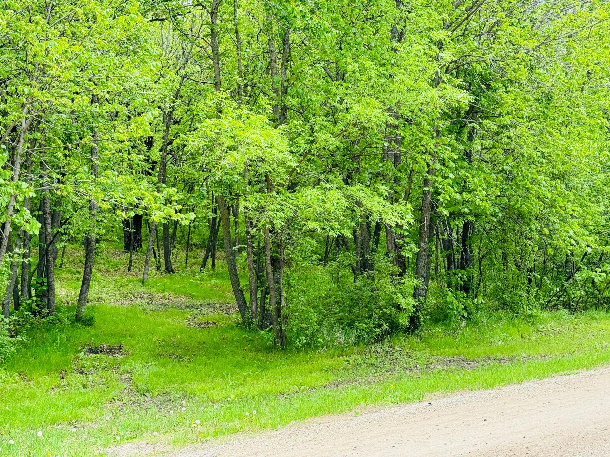 Lot 4 Canterbury Sands Trail