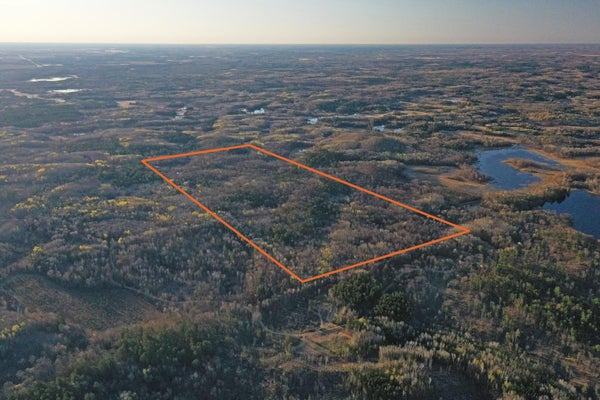 HOLLEY ST, OSAGE, MN 56570 - Image d99db3d6e01fdb48a2c36630aa8f54ff/964190819