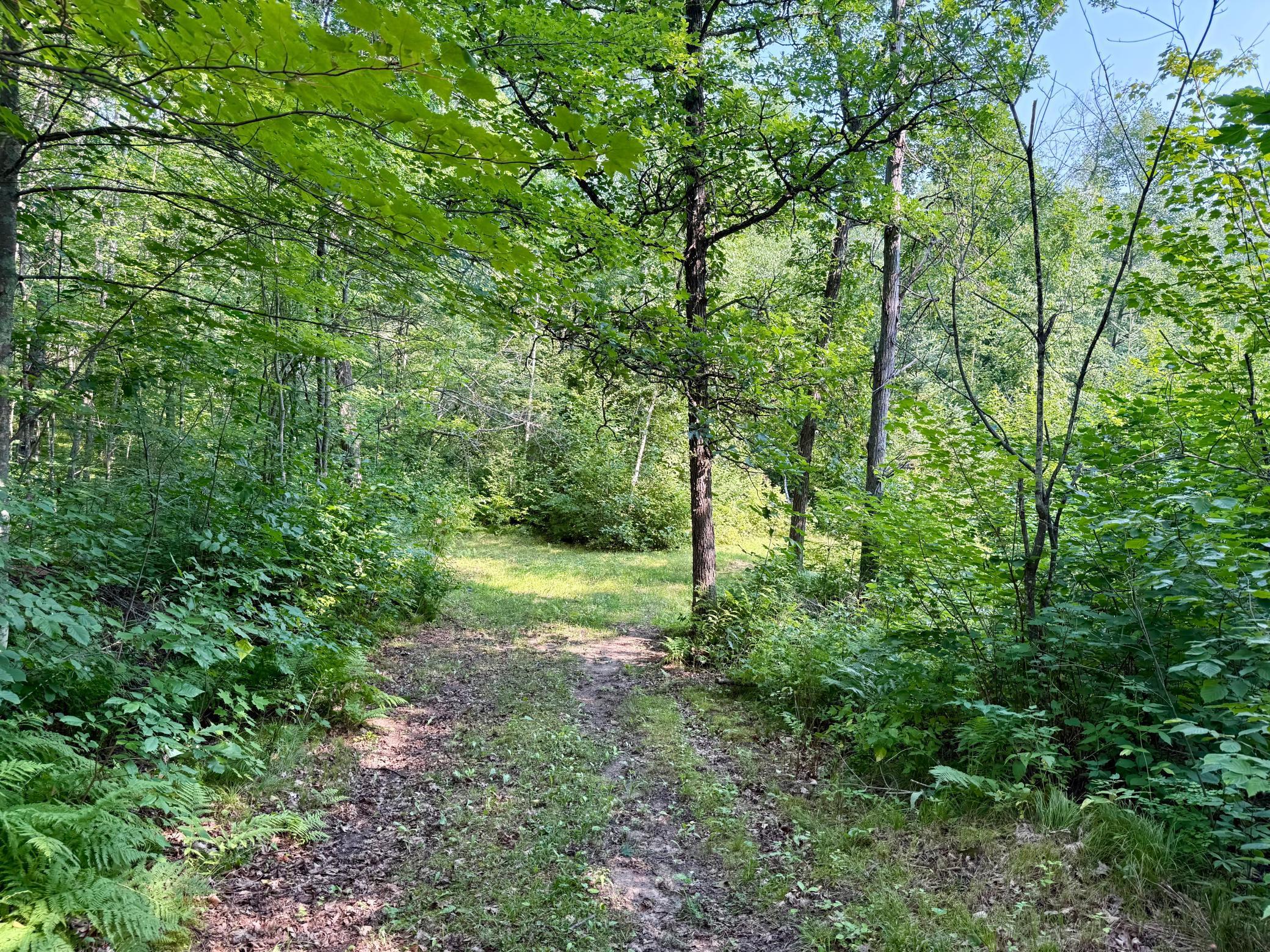 41174 Yellow Birch Lane