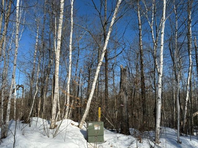 41174 Yellow Birch Lane