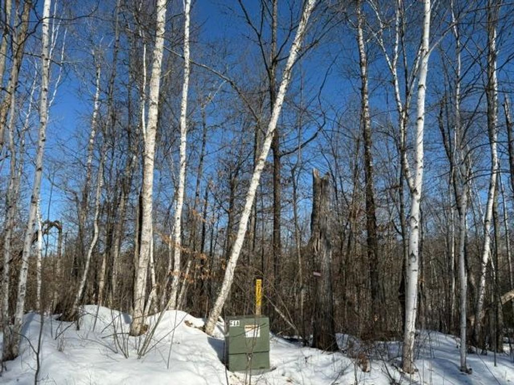 Photo of 41174 Yellow Birch Lane, Emily, MN 56447 (MLS # 7019559)