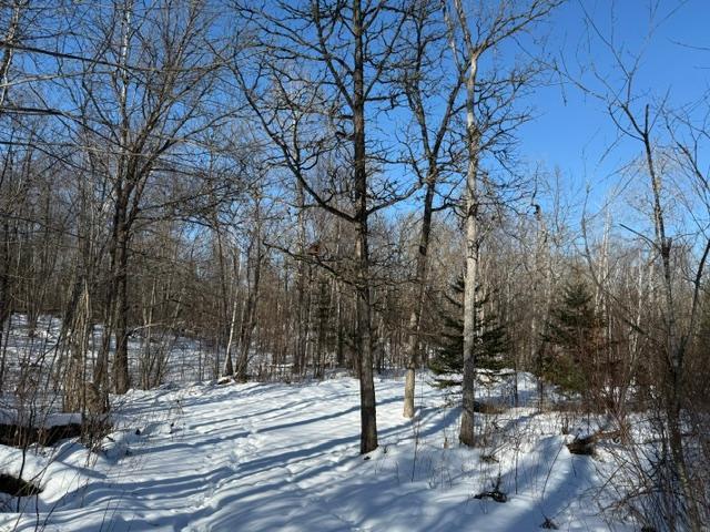 41174 Yellow Birch Lane