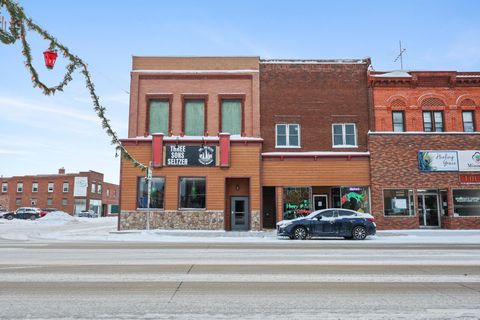 Photo of 201 N Sibley Avenue, Litchfield, MN 55355 (MLS # 7007841)