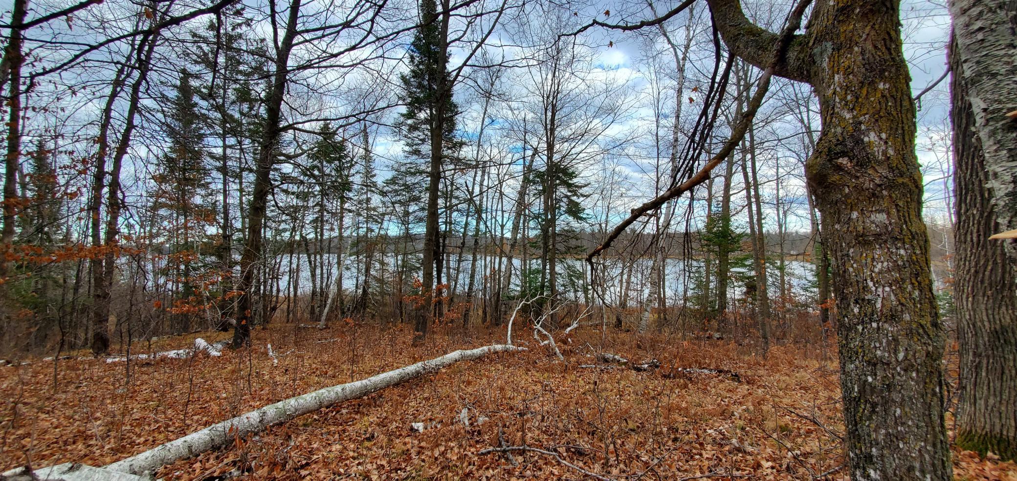 TBD - Parcel A Ticonderoga Trail