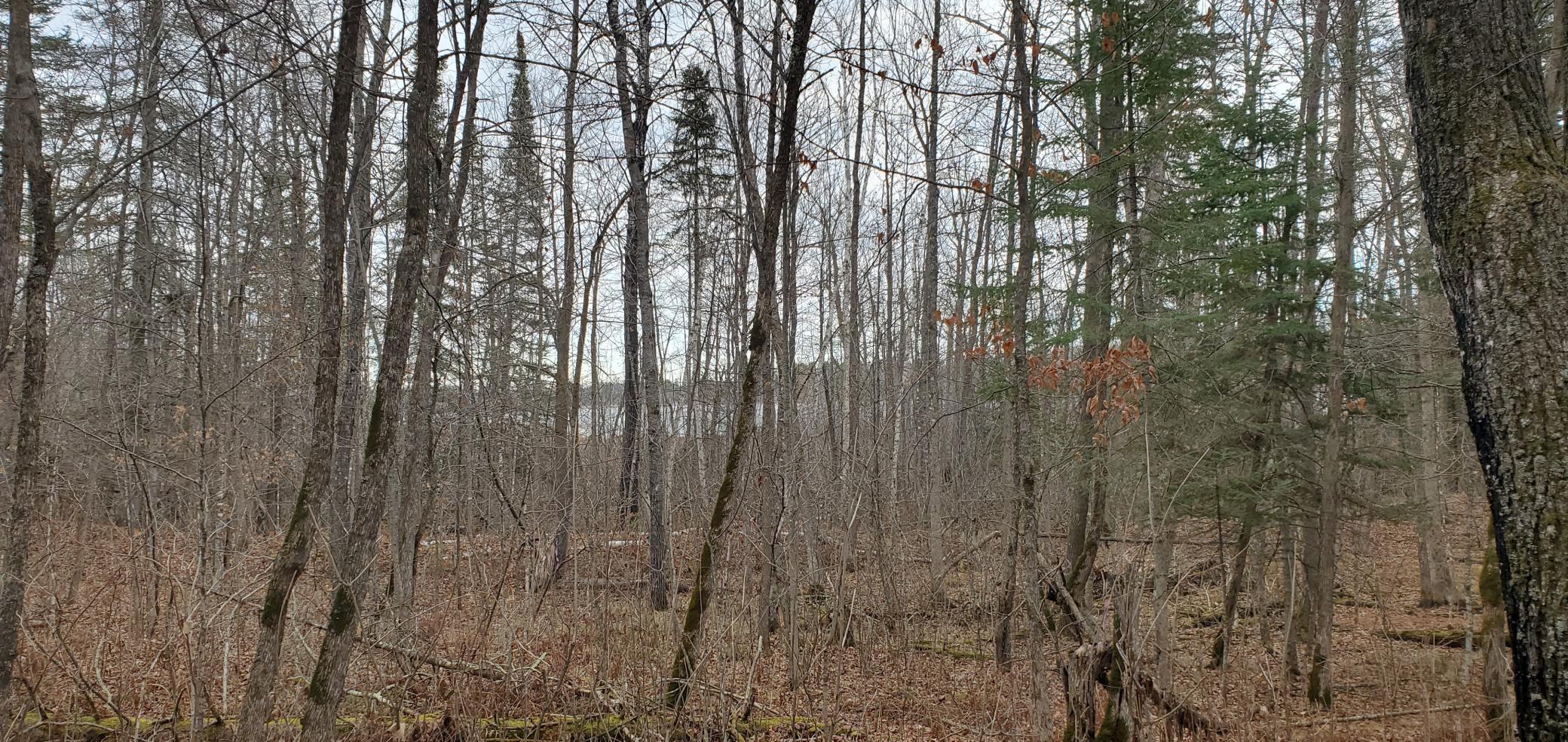 TBD - Parcel A Ticonderoga Trail