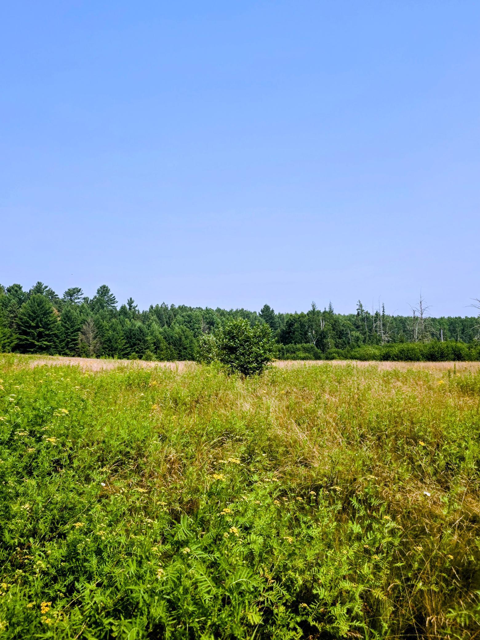 TBD County Road 440