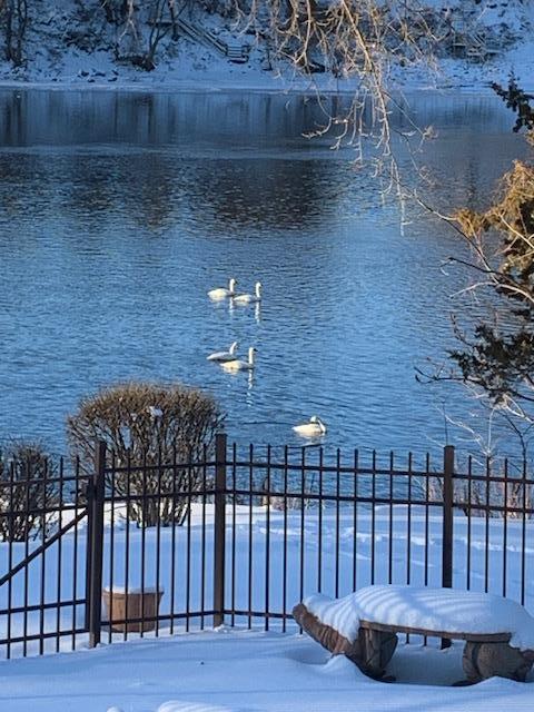 1128 Benton St, Anoka, MN, 55303, USA, 6 Bedrooms Bedrooms, ,6 BathroomsBathrooms,Residential,Active,1128 Benton St,7079220