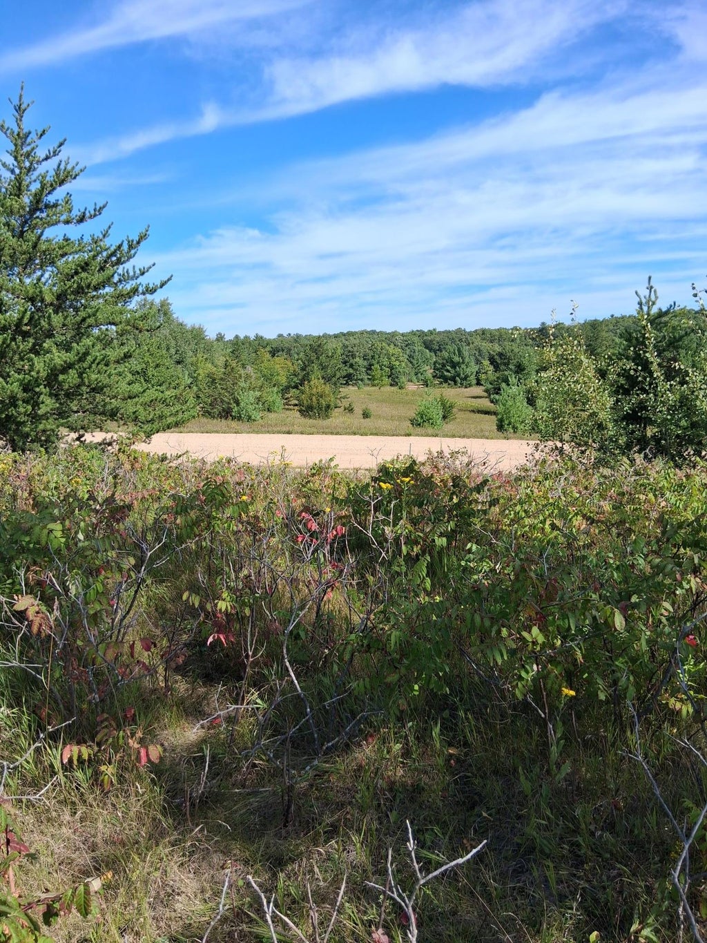 Photo of TBD Overland Drive, Browerville, MN 56438 (MLS # 7139363)