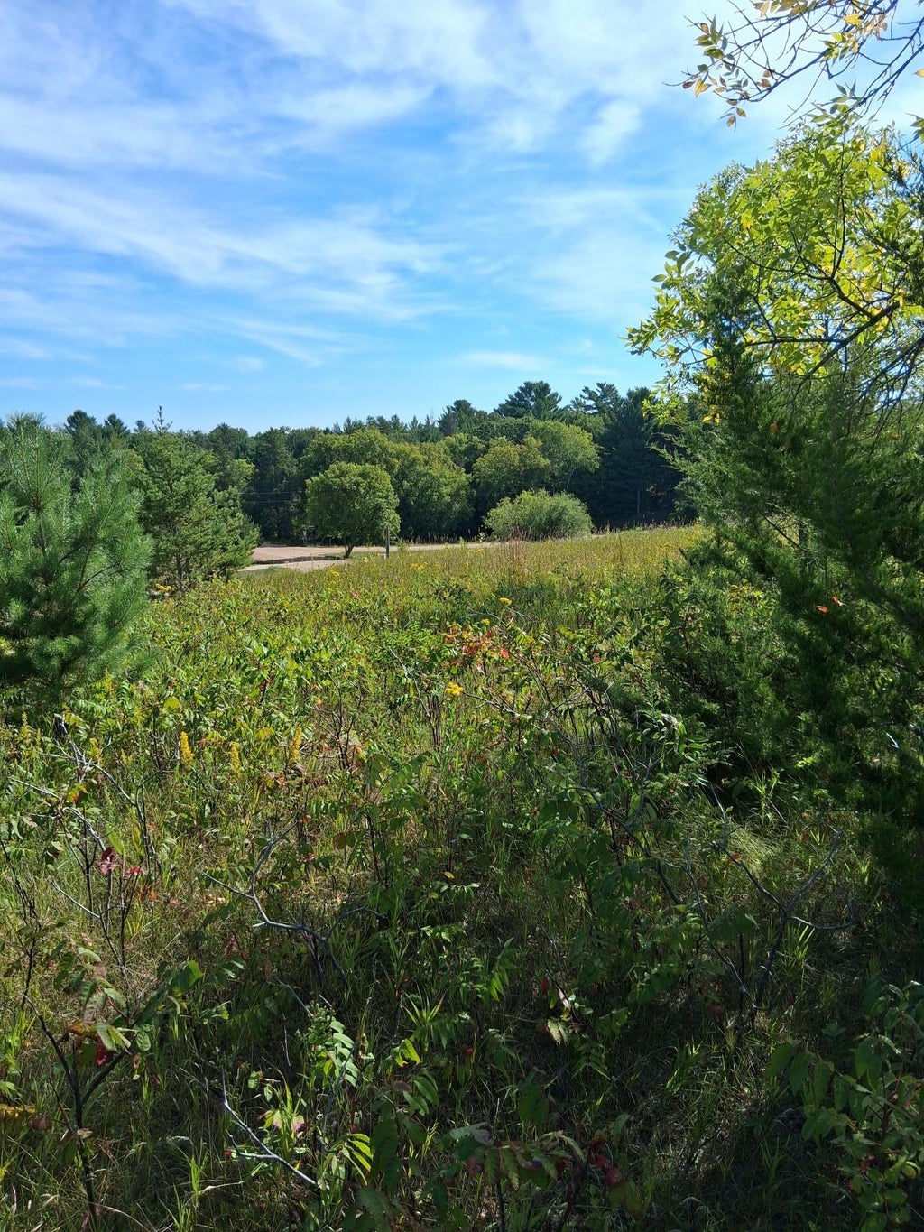 Photo of TBD Overland Drive, Browerville, MN 56438 (MLS # 7139363)