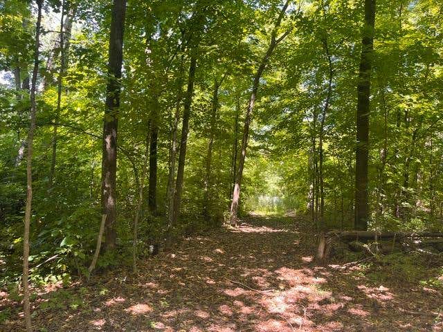 Photo of Lot 2 County Rd BB, Woodville, WI 54028 (MLS # 7123758)