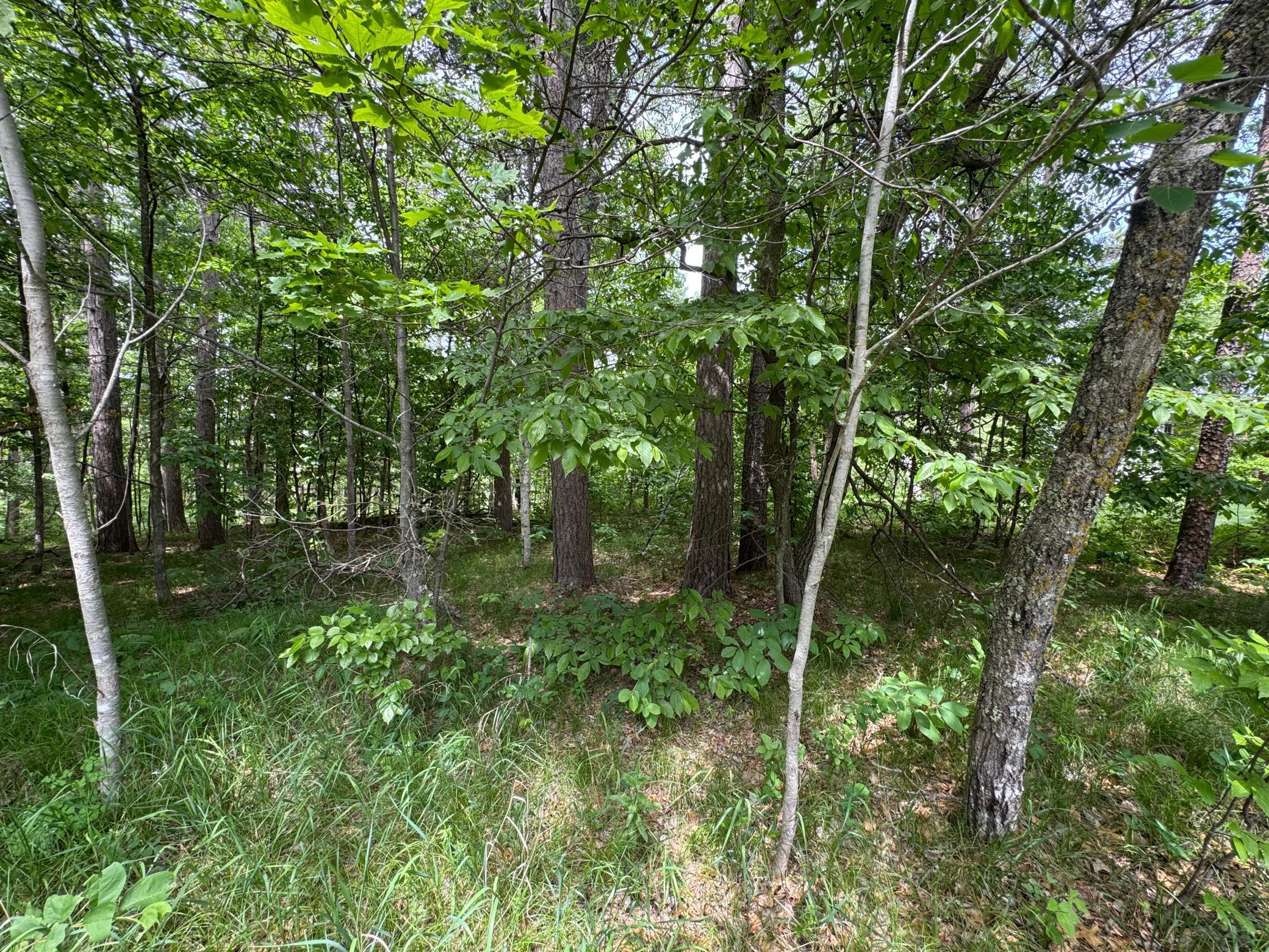 TBD White Overlook Drive