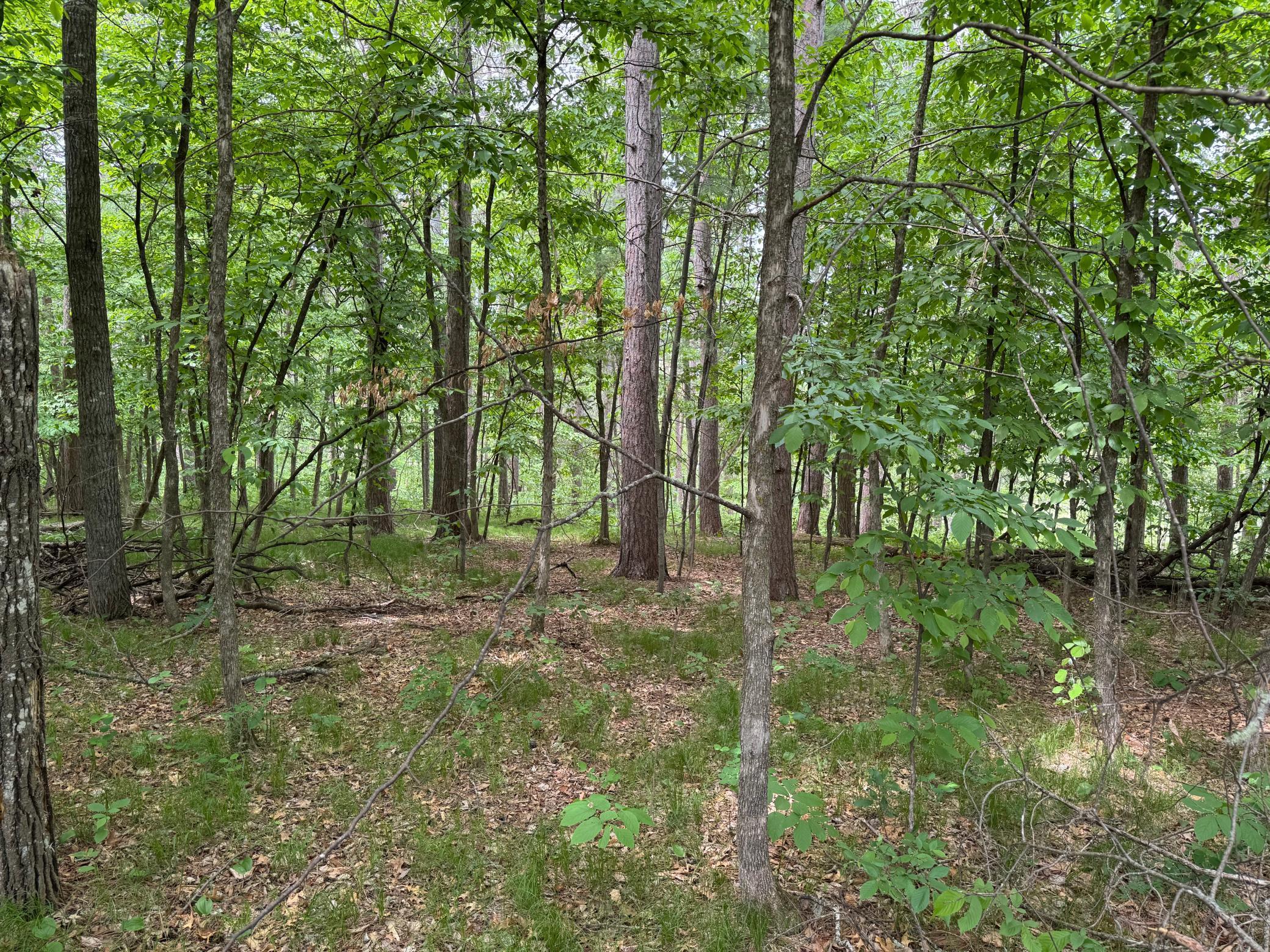 TBD White Overlook Drive