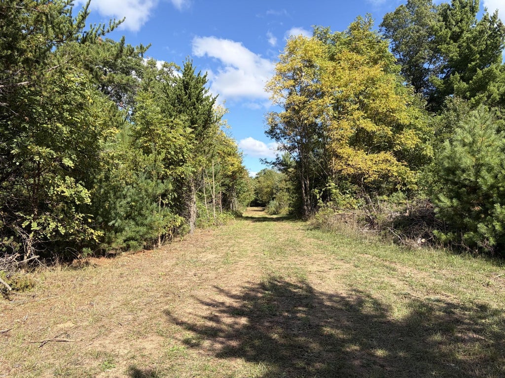 Photo of XXX Bluebird Trail, Webster, WI 54893 (MLS # 7150323)