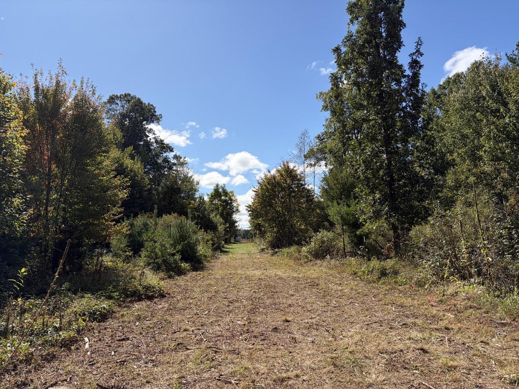Photo of XXX Bluebird Trail, Webster, WI 54893 (MLS # 7150323)