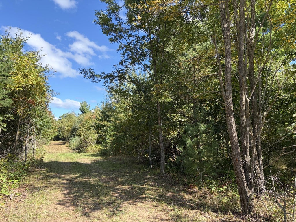Photo of XXX Bluebird Trail, Webster, WI 54893 (MLS # 7150323)