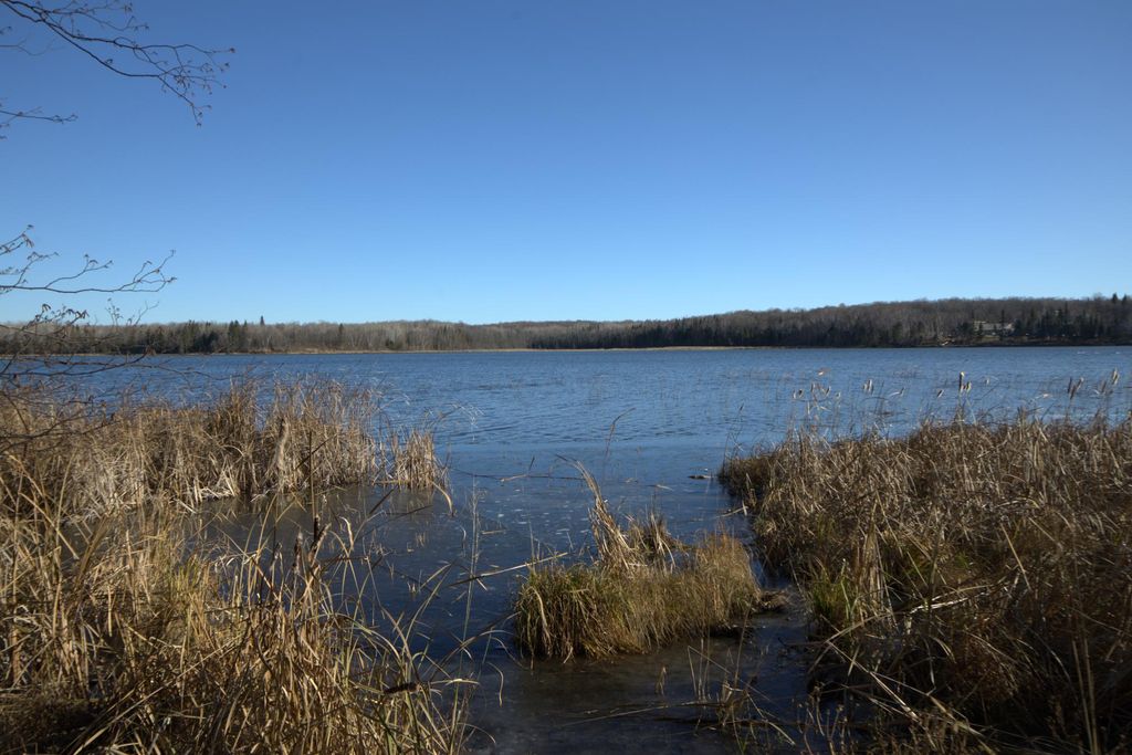 Photo of 36363 County Highway 34, Ogema, MN 56569 (MLS # 7047453)