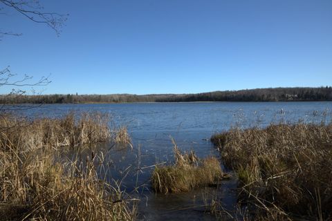 36363 County Highway 34 Ogema MN 56569