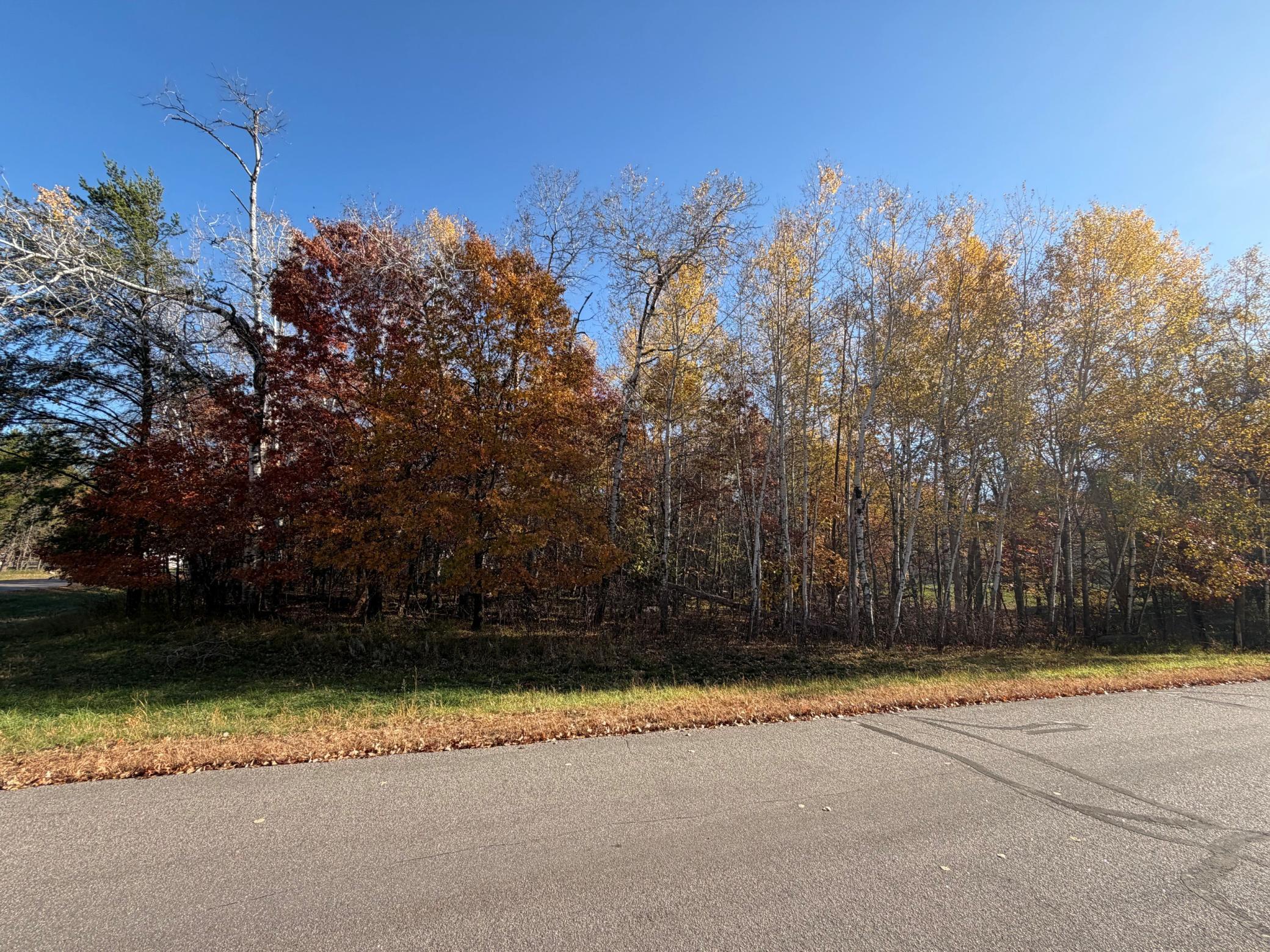 L1 B3 Paper Birch Drive