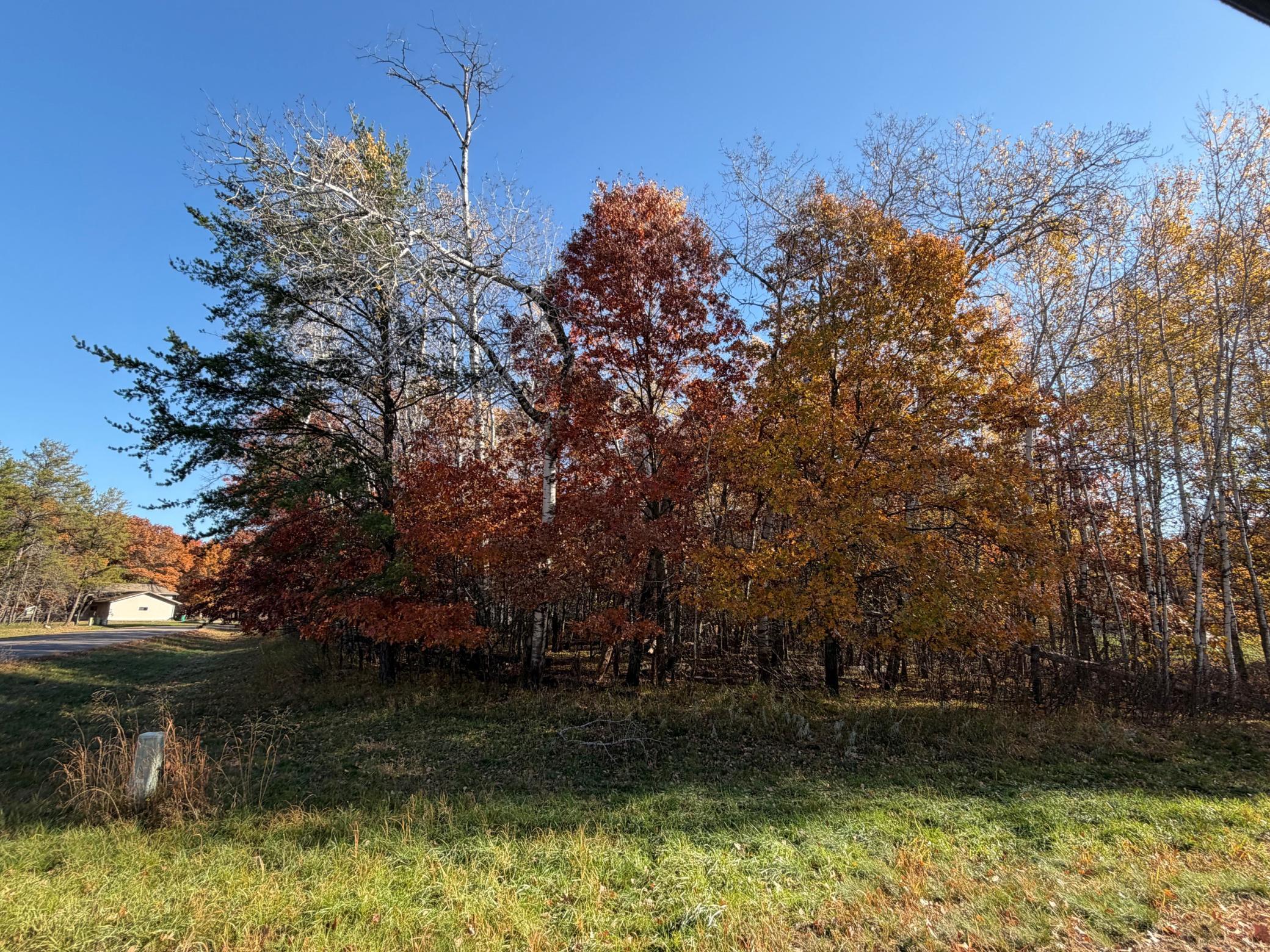 L1 B3 Paper Birch Drive